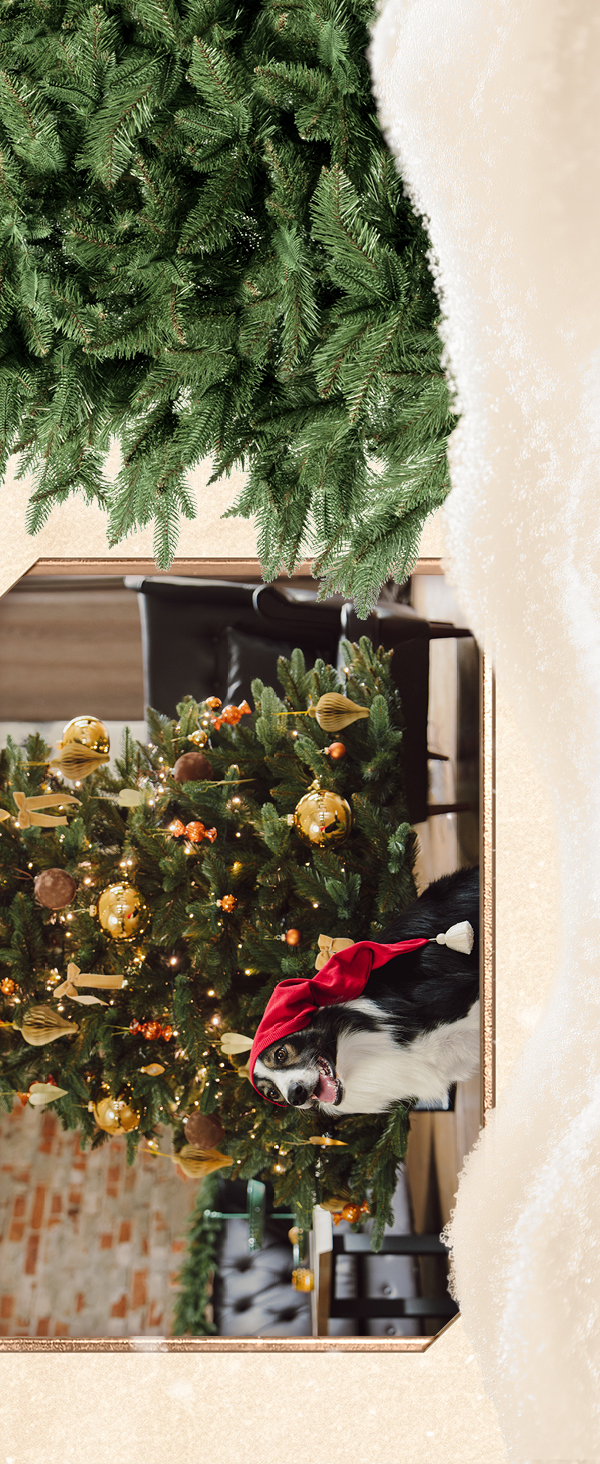 FAIRYTREES Weihnachtsbaum knstlich, Nordmanntanne Premium Naturgetreue |  eBay.de