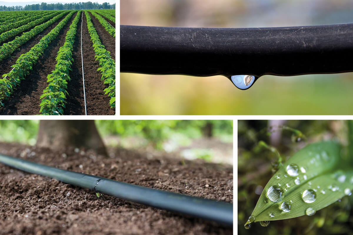 Bewässerungssystem - alles für den Garten - Jumbo-Blog
