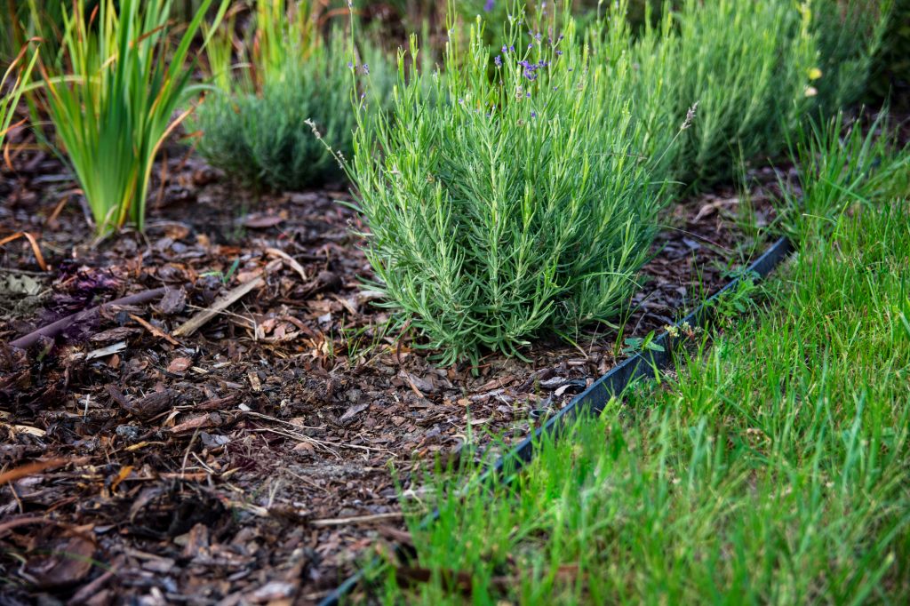 gartenbewaesserung