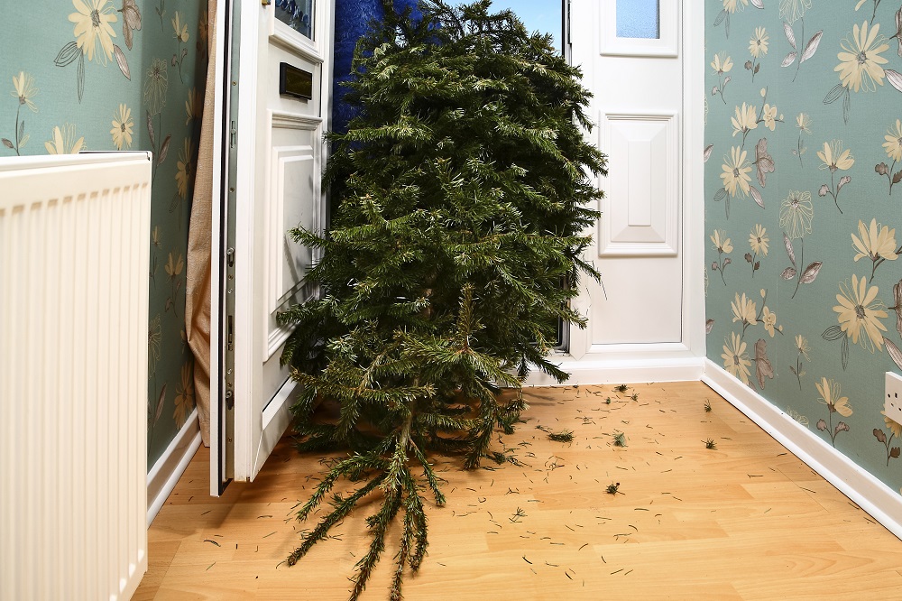 weihnachtsbaum-christbaum