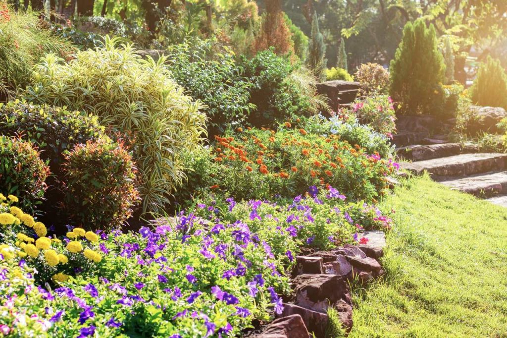 garten-anforderung-bewässerungssystem-tropfbewaesserung