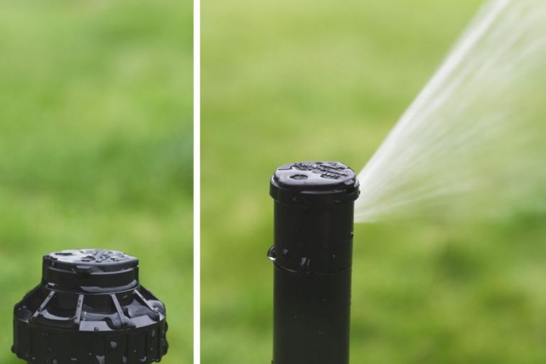 Rasen Bewässerungssystem - eine Schritt für Schritt Anleitung - Jumbo-Blog