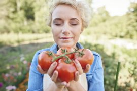 Bewässerung von Tomaten – alles was man über das Gießen wissen sollte