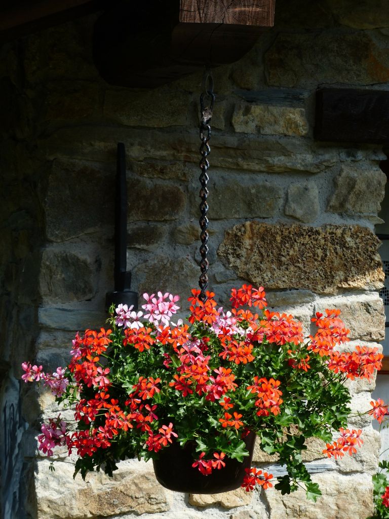 hangender-blumentopf-auf-ketten