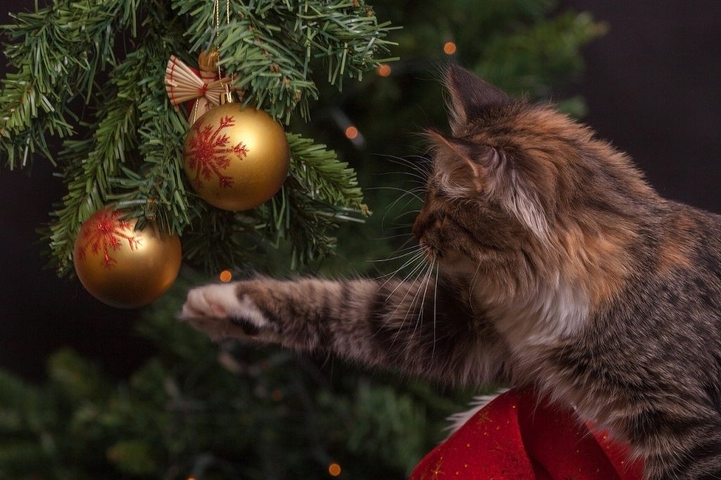 katze-und-weihnachtsschmuck