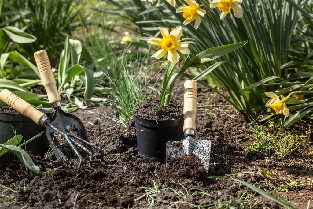 fruhlingsblumen-in-blumenbeeten-als-perfekte-gartenarbeit