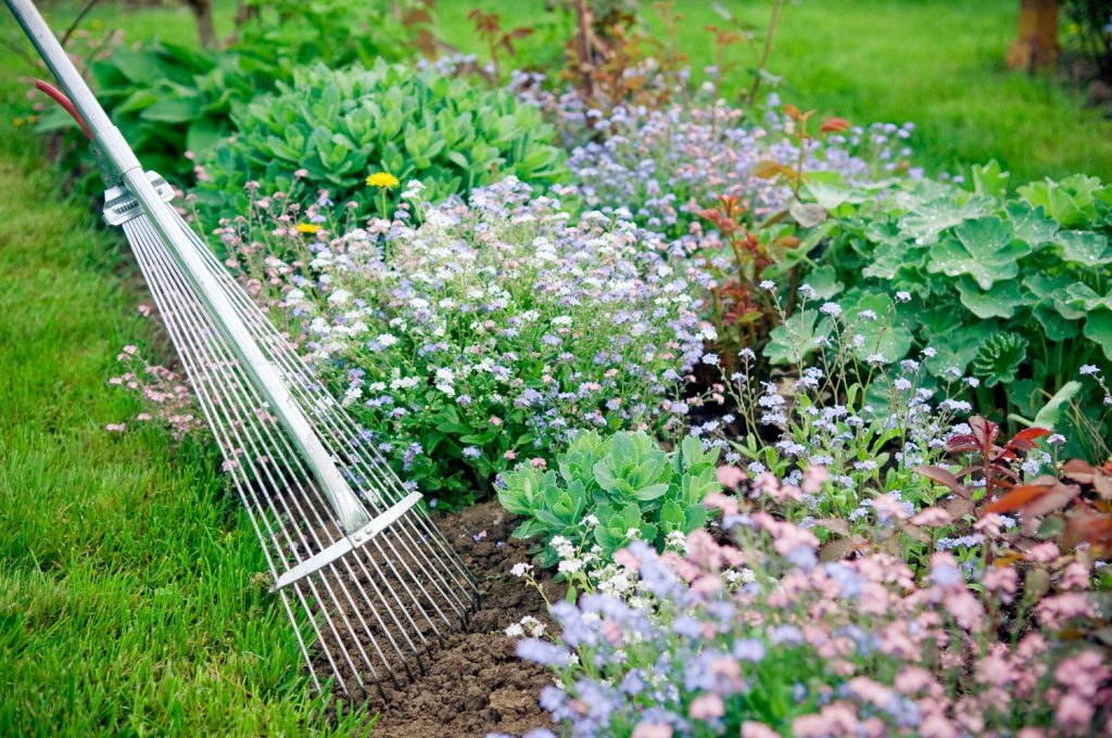 gartenarbeit-im-blumenbeet