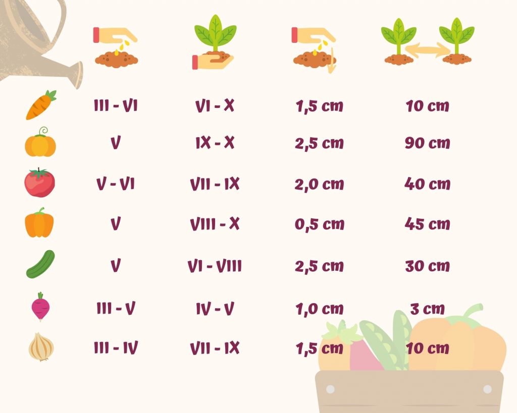 gartenkalender-wann-pflanzen