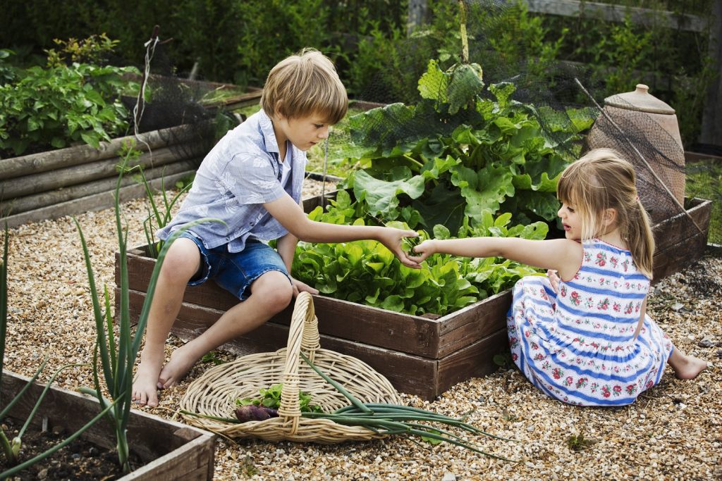 gemusegarten-als-schulunterricht-und-spass-fur-kinder