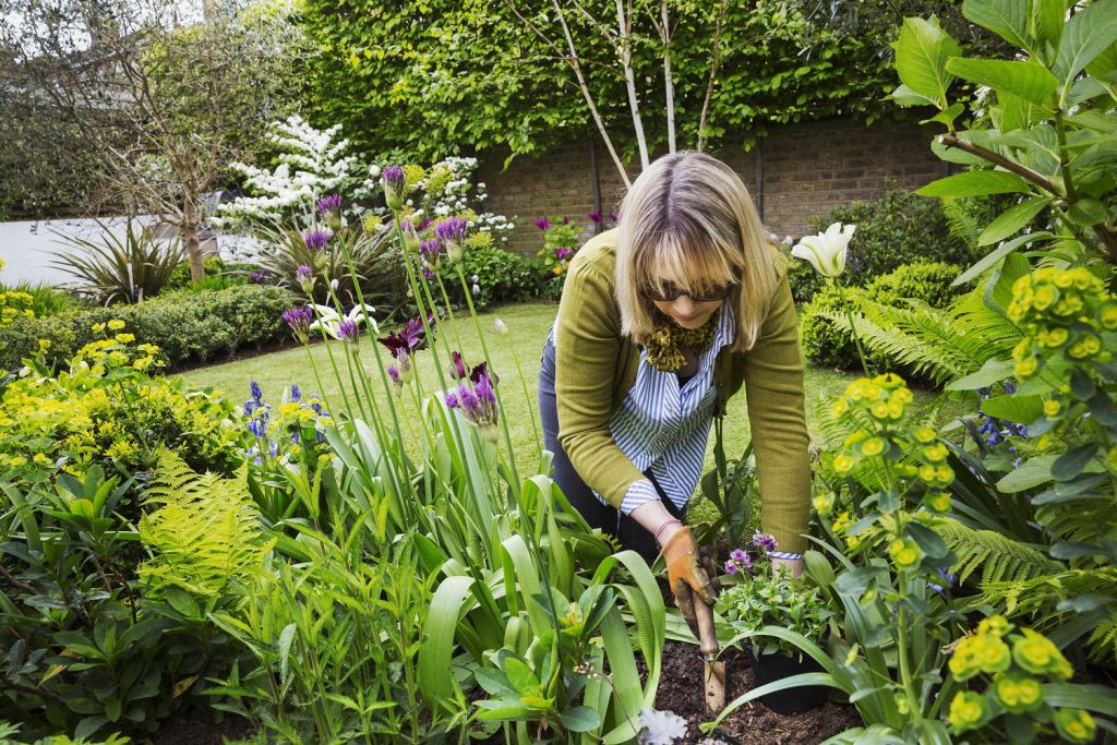 gut-geplantes-blumenbeet-verschonert-den-garten