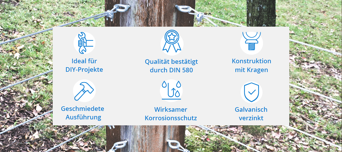 ringschraube-infografik-stanke5ea0019a31c15