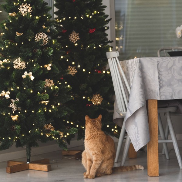 Lichterketten für den Weihanachtsbaum bestellen 