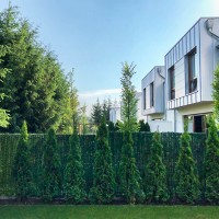 Vorschau: Zaunblende Dunkelgrün &quot;GreenFences&quot; Balkonblende für 110 cm hohen Zaun / Balkon Sichtschutz Pflanz