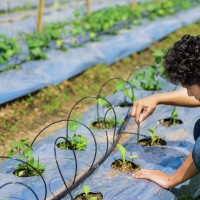 Vorschau: Bewässerungssystem Micro-Drip-System Tropfbewässerung Bewässerungsset 5